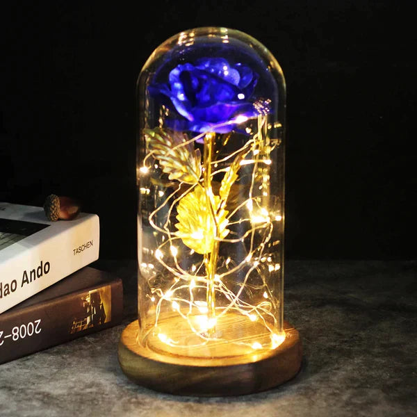 Preserved Rose with LED Glass Dome Display
