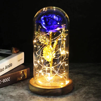 Preserved Rose with LED Glass Dome Display