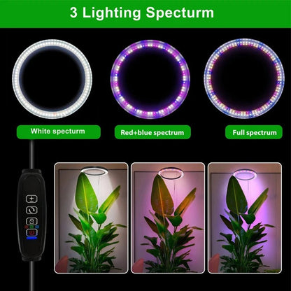 Full Spectrum LED Grow Ring Light with Stand