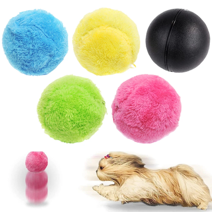 Interactive Dog Toy Ball with Random Rolling Action
