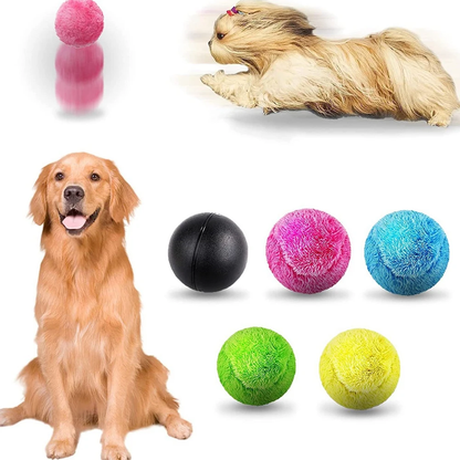 Interactive Dog Toy Ball with Random Rolling Action