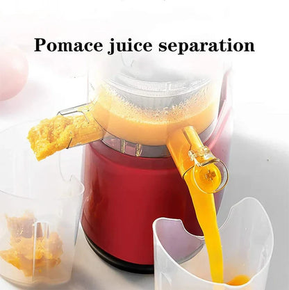 Automatic Juicer for Fruits and Vegetables