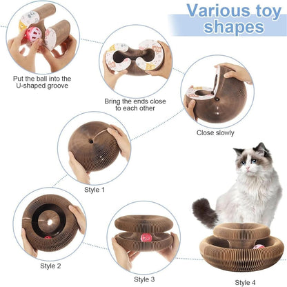 Cardboard Cat Maze, Magnetic Folding with Bell Ball