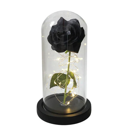 Preserved Rose with LED Glass Dome Display