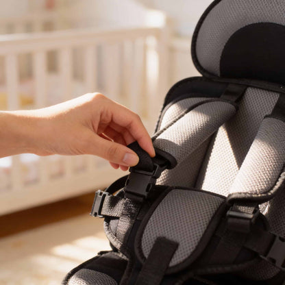Portable Baby Booster Seat and Travel Cushion