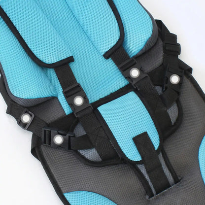 Portable Baby Booster Seat and Travel Cushion