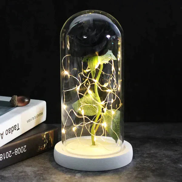 Preserved Rose with LED Glass Dome Display