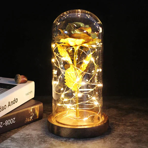 Preserved Rose with LED Glass Dome Display