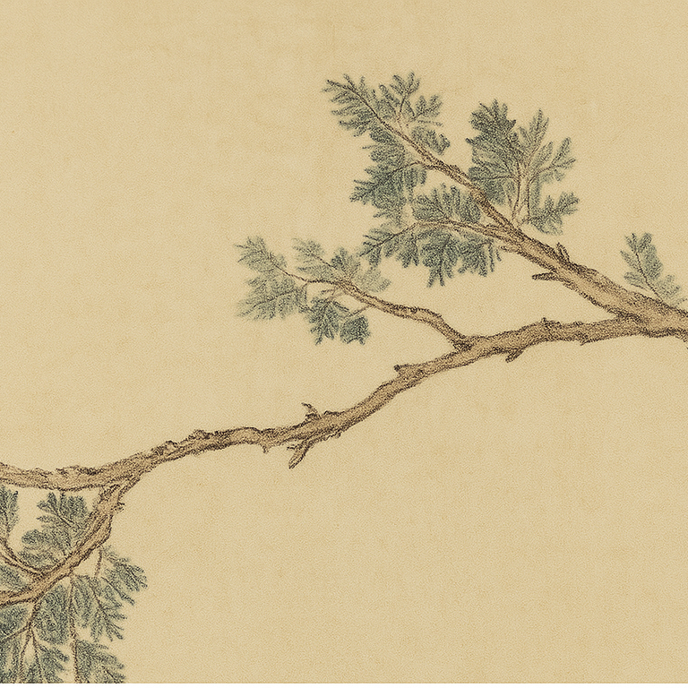 Traditional Bird Room Divider