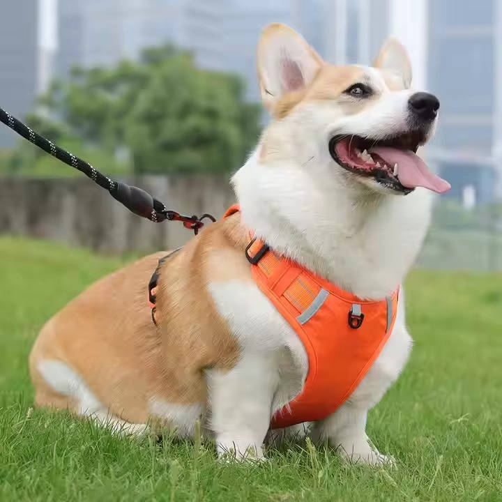 Reflective No Pull Dog Harness, Breathable Mesh