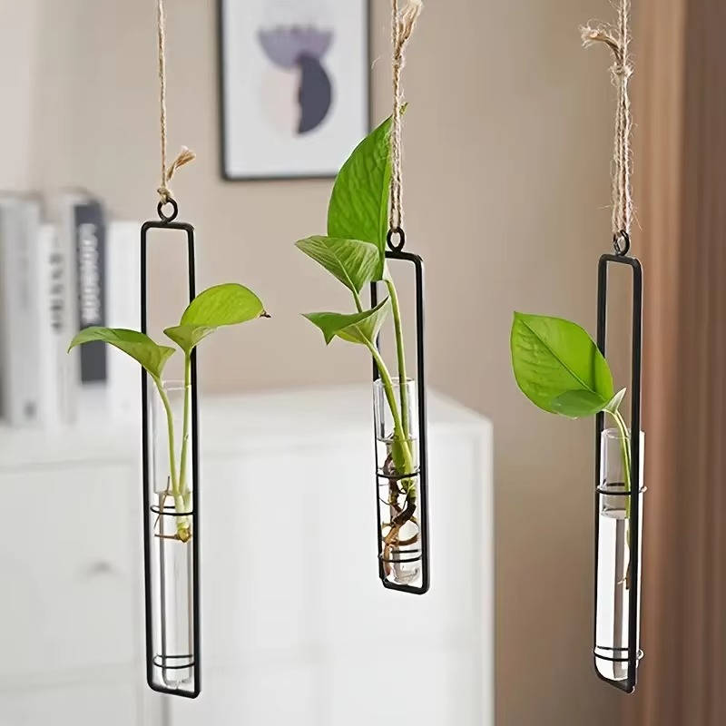 Wall Hanging Propagation Station, Glass Tubes