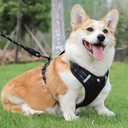 Reflective No Pull Dog Harness, Breathable Mesh