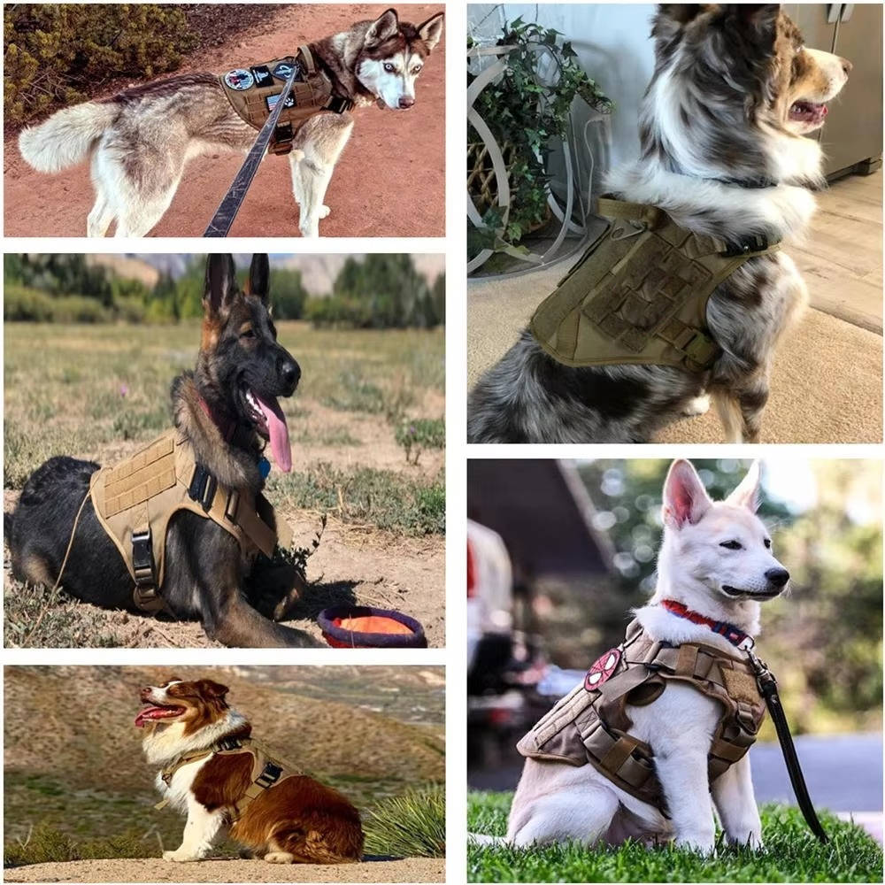 Tactical Military Dog Vest Harness Set