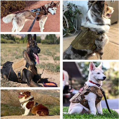Tactical Military Dog Vest Harness Set