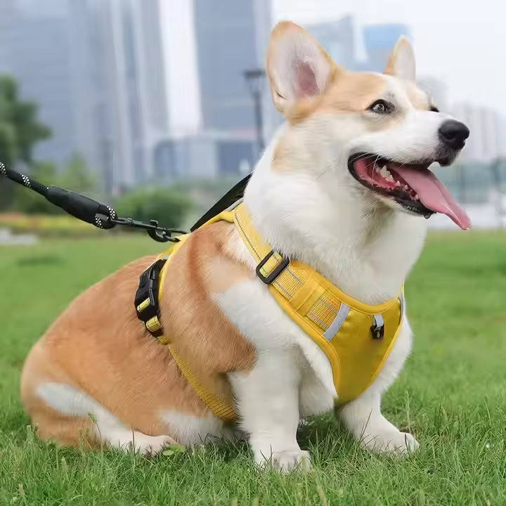 Reflective No Pull Dog Harness, Breathable Mesh