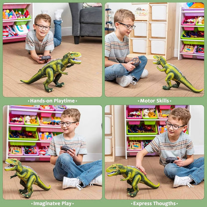 Remote Control T-Rex Dinosaur Toy