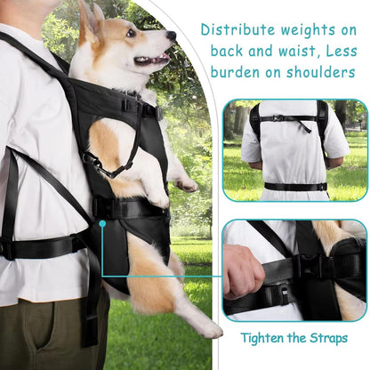 Dog Carrying Backpack Carrier