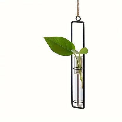 Wall Hanging Propagation Station, Glass Tubes