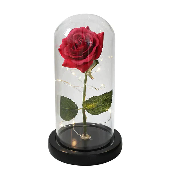 Preserved Rose with LED Glass Dome Display