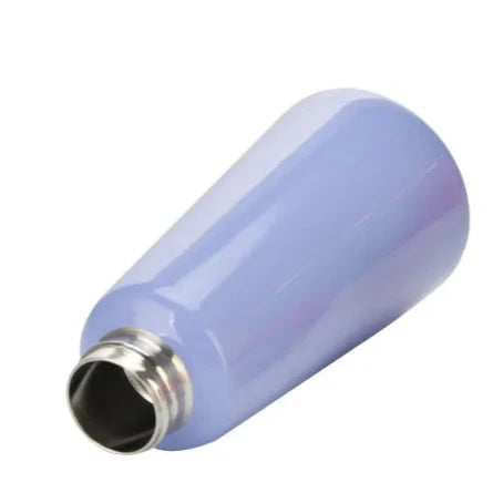Insulated Stainless Steel Water Bottle, Leak-Proof