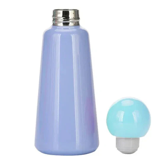 Insulated Stainless Steel Water Bottle, Leak-Proof