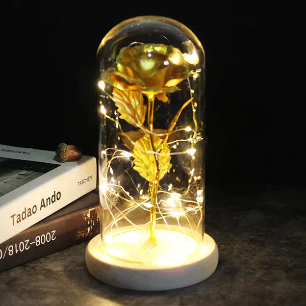 Preserved Rose with LED Glass Dome Display