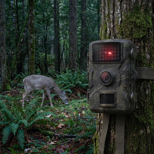 1080P Night Vision Trail Camera lifestyle