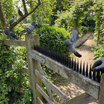 Bird Repeller Deterrent Spikes lifestyle