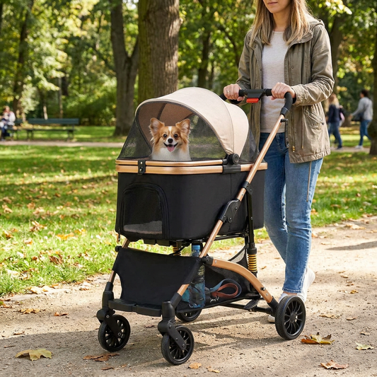 Dog Stroller and Transport Box lifestyle