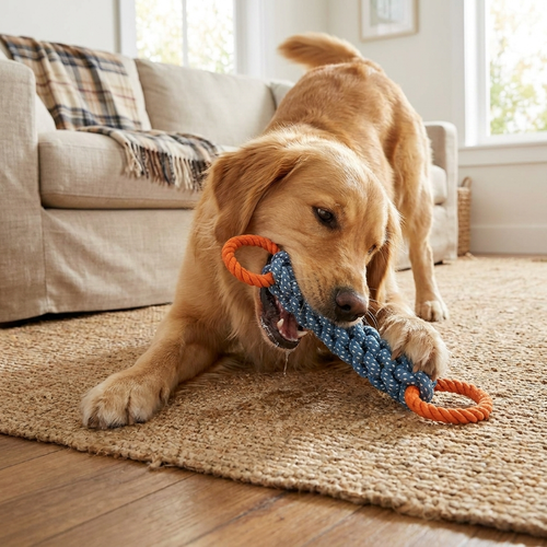 Rope chew dog toy — lifestyle
