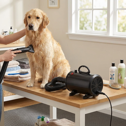 Dog grooming dryer — lifestyle