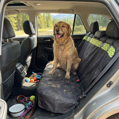 Dog car seat cover — lifestyle
