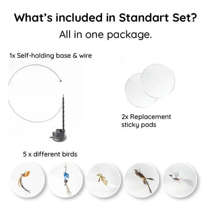 Bird Simulation Interactive Cat Toy Set