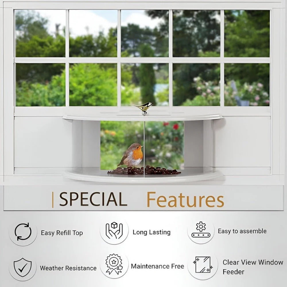 Panoramic Window Bird Feeder with Wide View