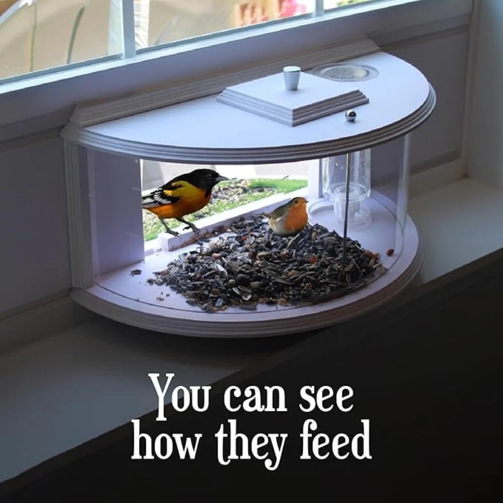 Panoramic Window Bird Feeder with Wide View