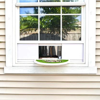 Panoramic Window Bird Feeder with Wide View