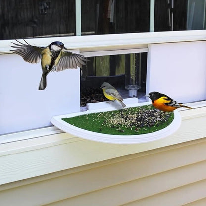 Panoramic Window Bird Feeder with Wide View