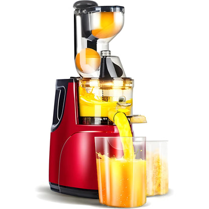Automatic Juicer for Fruits and Vegetables