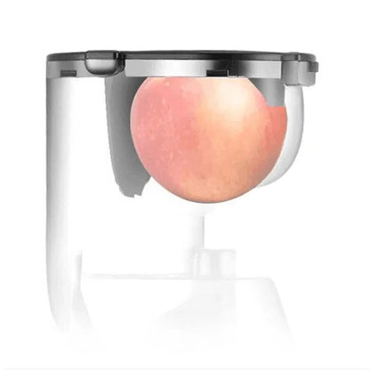 Automatic Juicer for Fruits and Vegetables