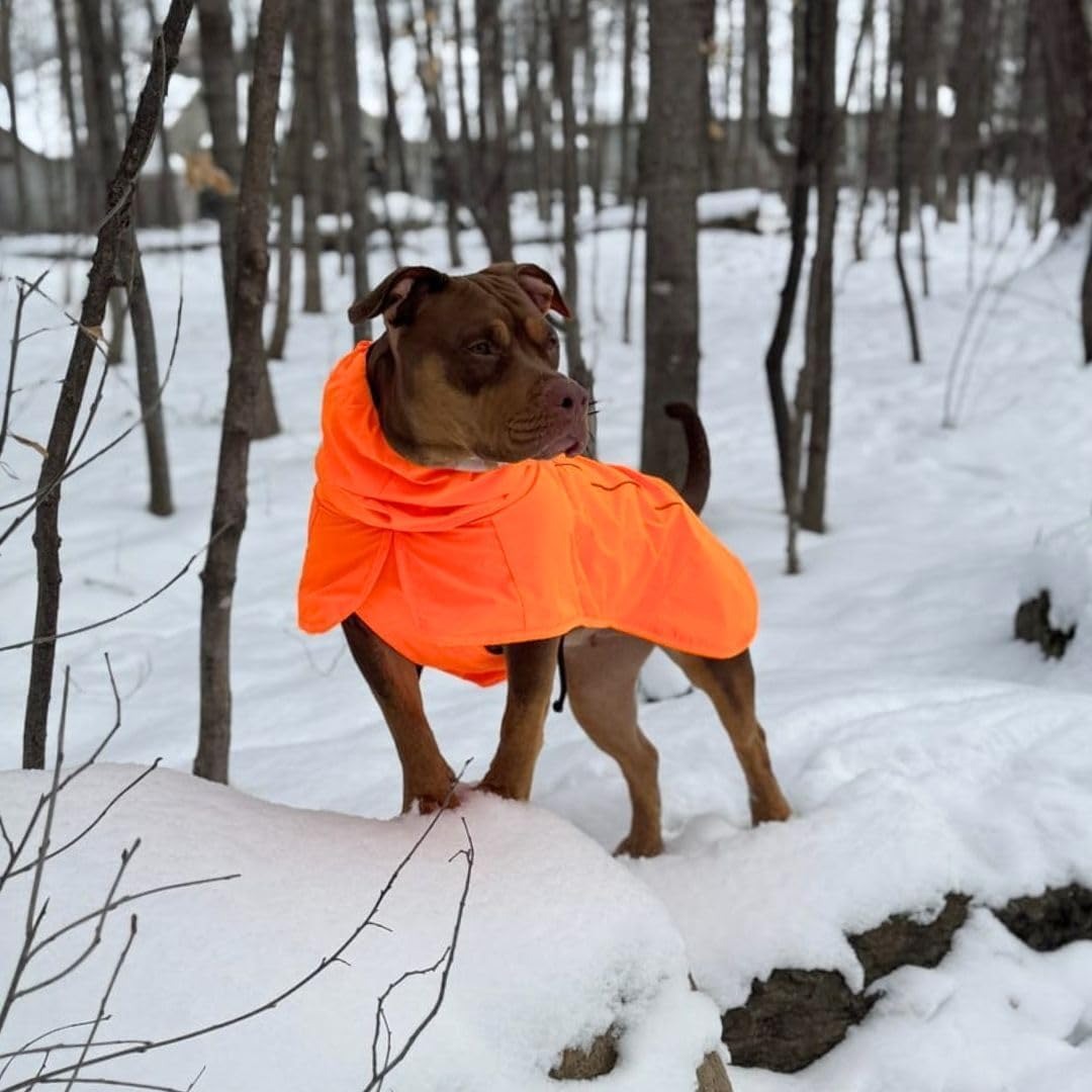 Waterproof Windproof Dog Raincoat