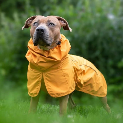 Waterproof Windproof Dog Raincoat