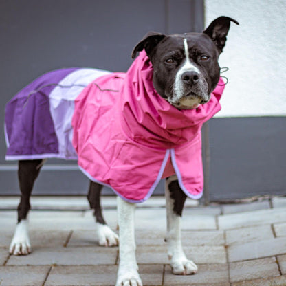 Waterproof Windproof Dog Raincoat
