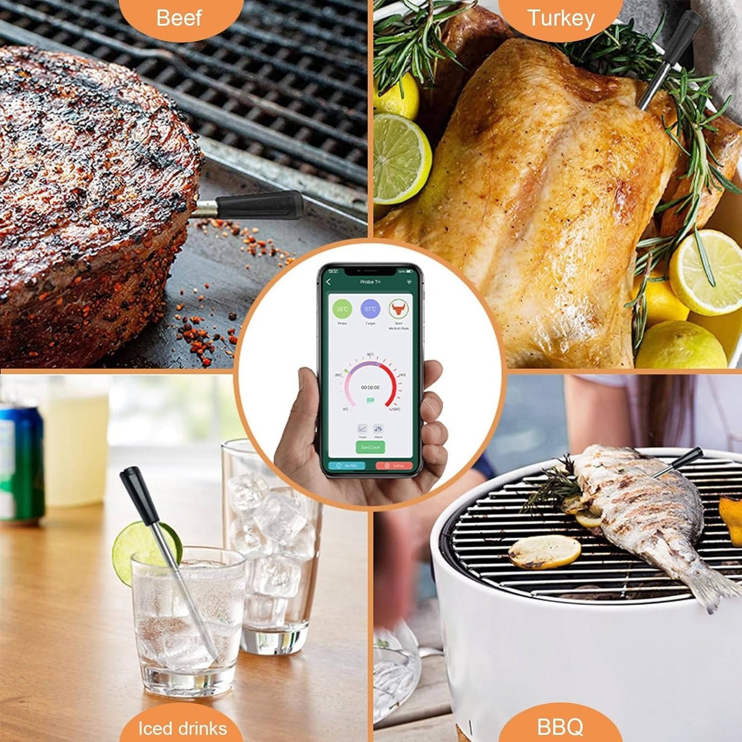 Wireless App Meat Thermometer