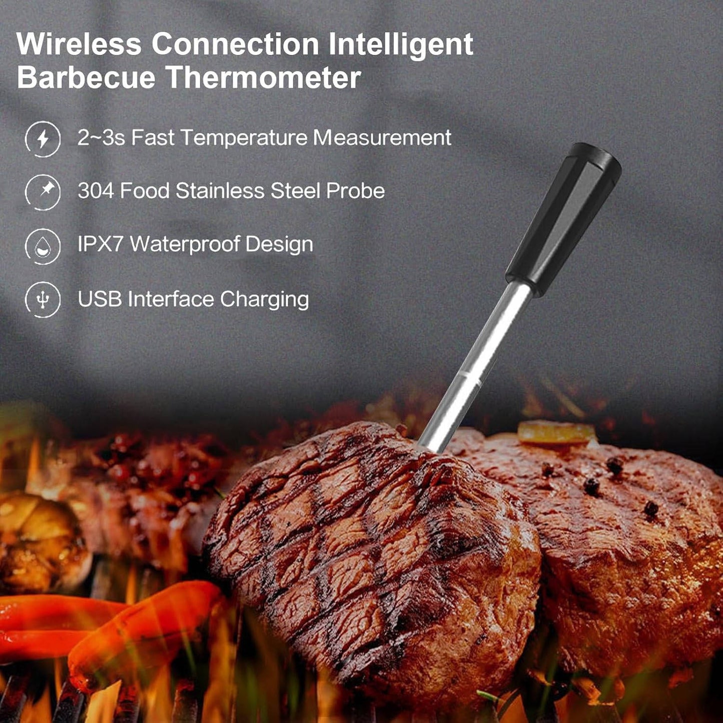 Wireless App Meat Thermometer