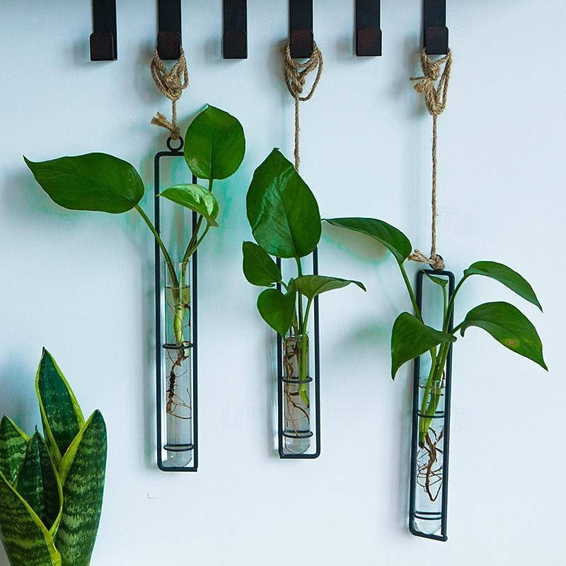 Wall Hanging Propagation Station, Glass Tubes