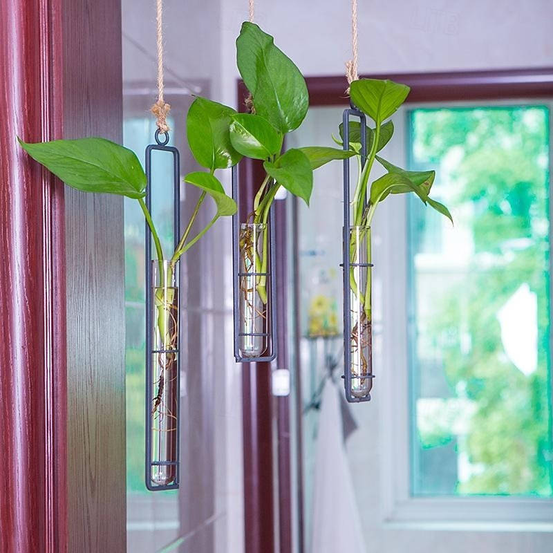 Wall Hanging Propagation Station, Glass Tubes