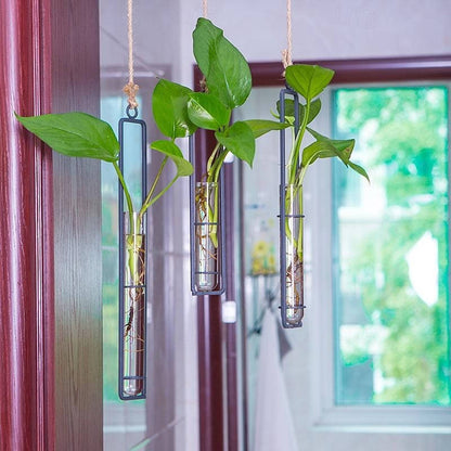 Wall Hanging Propagation Station, Glass Tubes