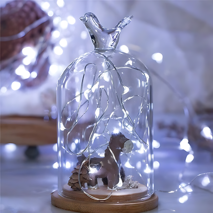 100 Mini LED Fairy String Lights, Waterproof