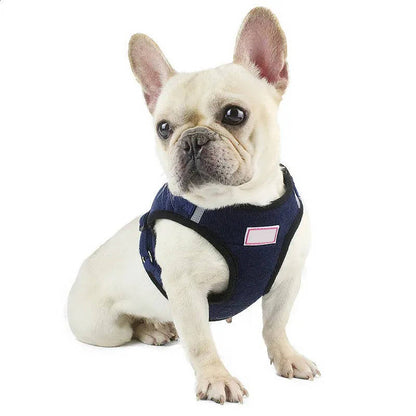 Reflective Corduroy Dog Harness & Leash Set