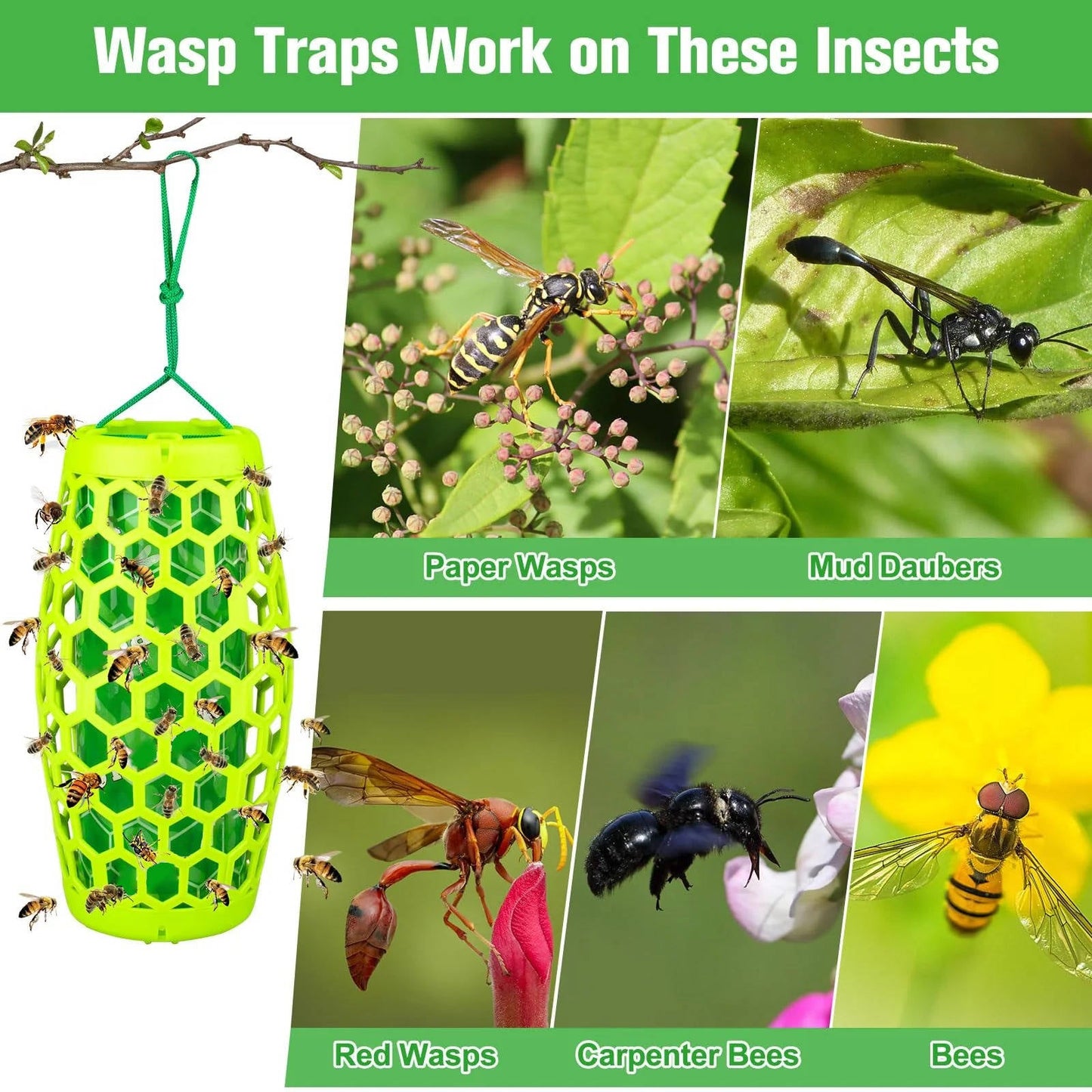 Outdoor Wasp Traps, 2 Pack Reusable Hanging